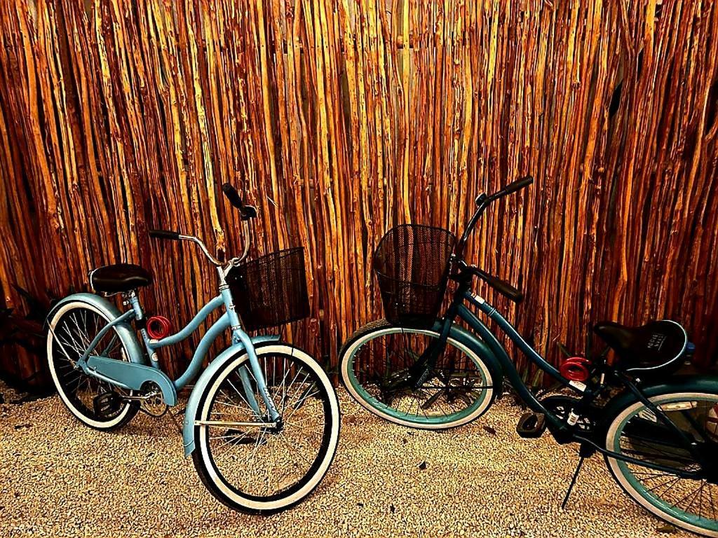 Soi Bacalar Hotel Luaran gambar